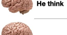 Big Brain