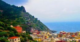 Cinque