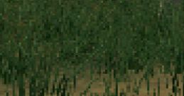 Turok Evolution (GameCube) Effects Turok Evolution, released in 2002, is a first-person shooter that revitalizes the classic