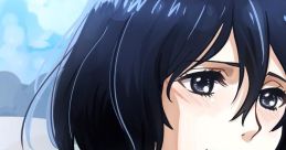 Mikasa