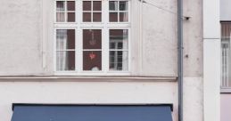 Store