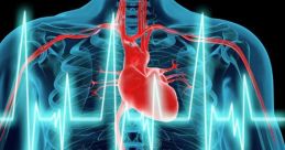 Heart Beat Heart beat and effects to download and play.