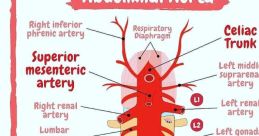 Visceral