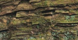 Bedrock