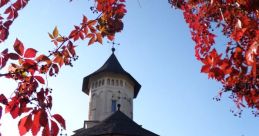 Bucovina