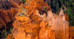 Bryce