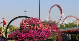 Xaleqy