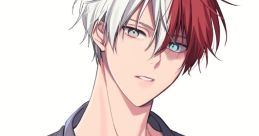 Todoroki