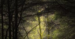 Mystical