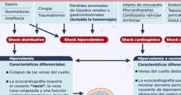 Shock