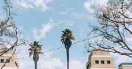 Torrance