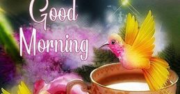 Goodmorning