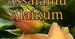 Salaam