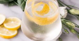 White Wine Spritzer