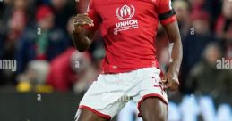 Boly