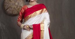 Sari