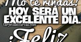 Excelente