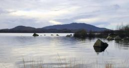 Lough