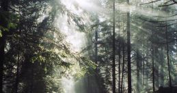 Natura