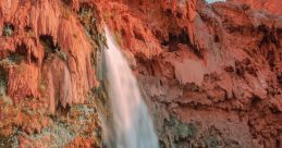 Arizona