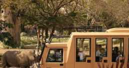 Zoo Zoo
