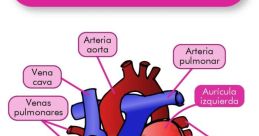 Corazon