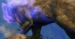 Guildwars 2