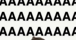 Aaaaaaaaaaaaaaa