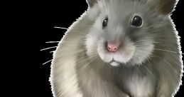 Raton