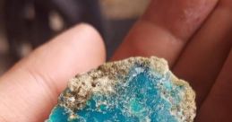 Bacan