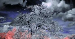 Lost Sky