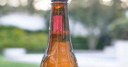 Cerveza