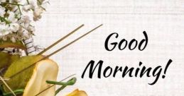 Morning