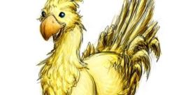Chocobo