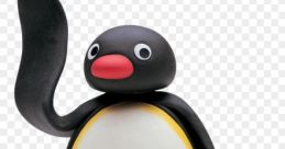 Noot
