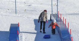 Luge