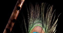 Feather