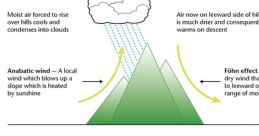 Winds