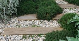 Path