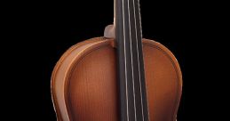 Violino