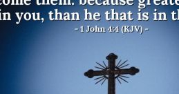 John404