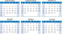 Year