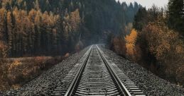 Rail