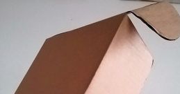 Carton