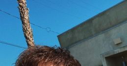Zach Herron