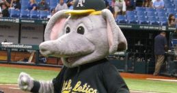 Stomper