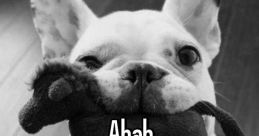 Ahah