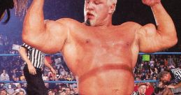 Scott Steiner
