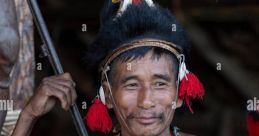 Hornbill Effects