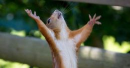 Ahhhhhhhhhhhhhhhhhhhhh
